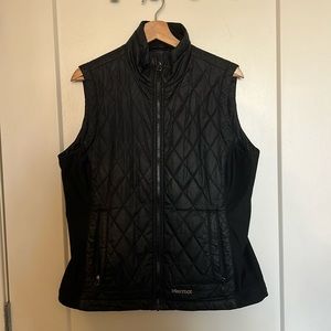 Black Vest Marmot